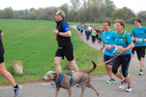 2019 Strassenlauf 118